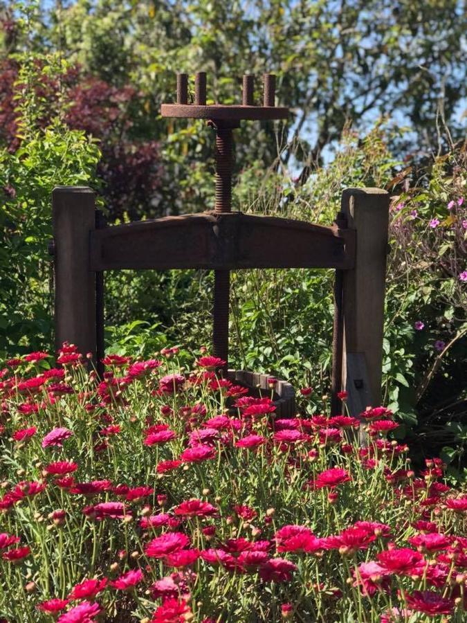 Robin Hoods Well Farm Stay Sassafras Bagian luar foto