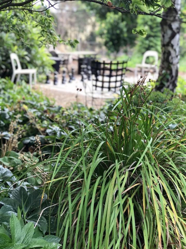 Robin Hoods Well Farm Stay Sassafras Bagian luar foto