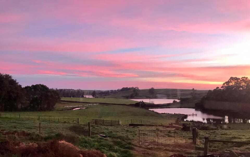 Robin Hoods Well Farm Stay Sassafras Bagian luar foto