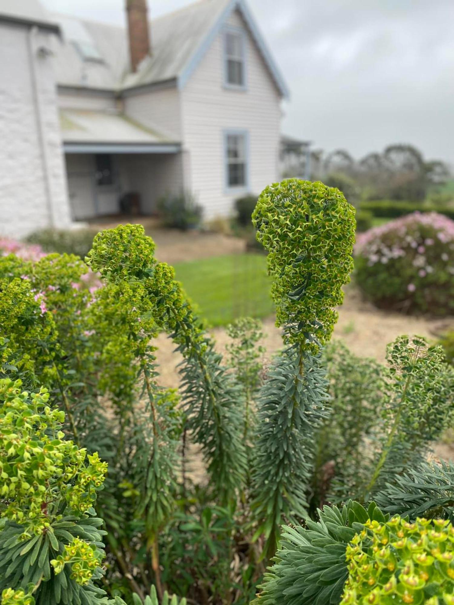 Robin Hoods Well Farm Stay Sassafras Bagian luar foto