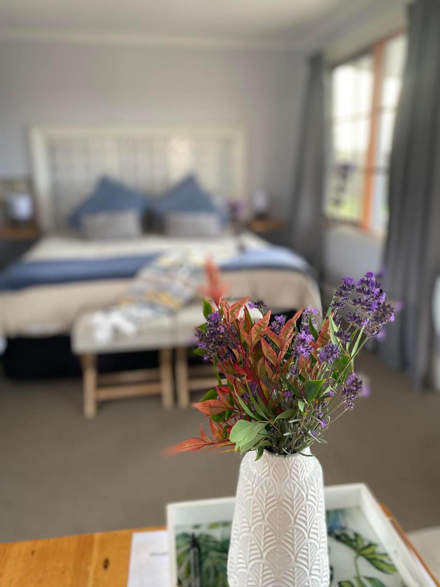 Robin Hoods Well Farm Stay Sassafras Bagian luar foto