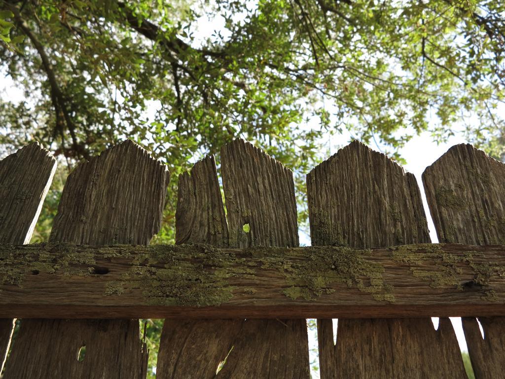 Robin Hoods Well Farm Stay Sassafras Bagian luar foto