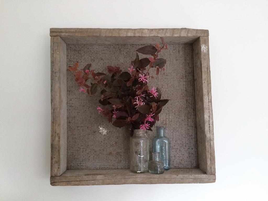 Robin Hoods Well Farm Stay Sassafras Bagian luar foto