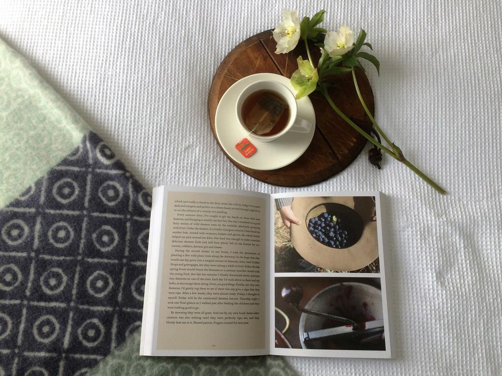 Robin Hoods Well Farm Stay Sassafras Bagian luar foto