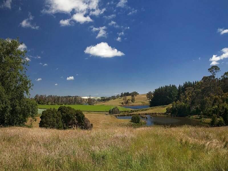 Robin Hoods Well Farm Stay Sassafras Bagian luar foto