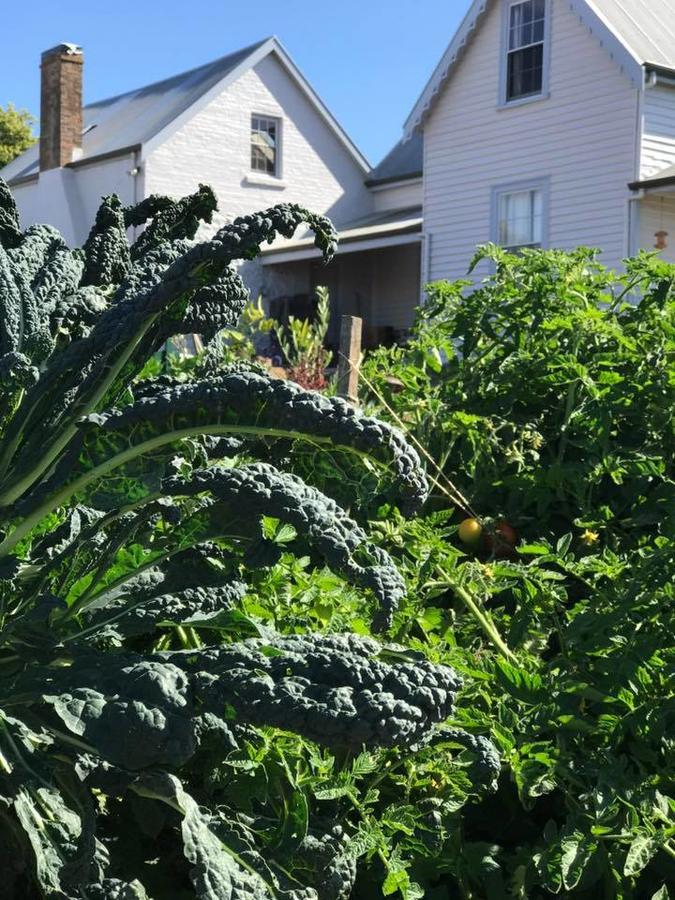 Robin Hoods Well Farm Stay Sassafras Bagian luar foto